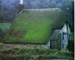 A thatched cottage in Branscombe, Devon